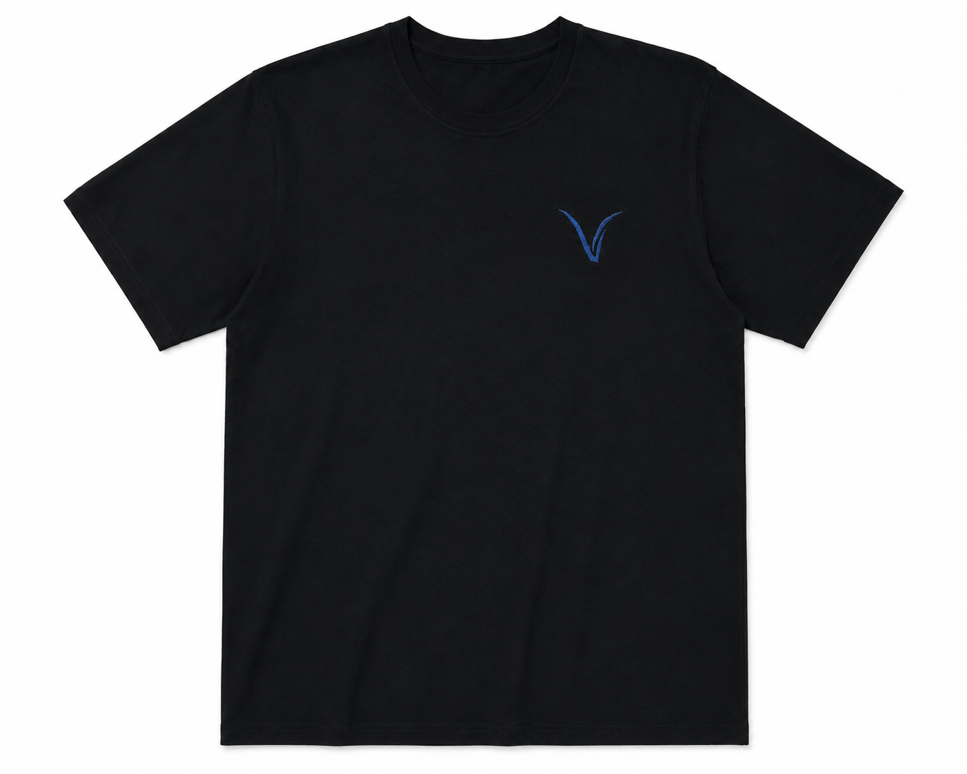 Playera Tradicional Varra