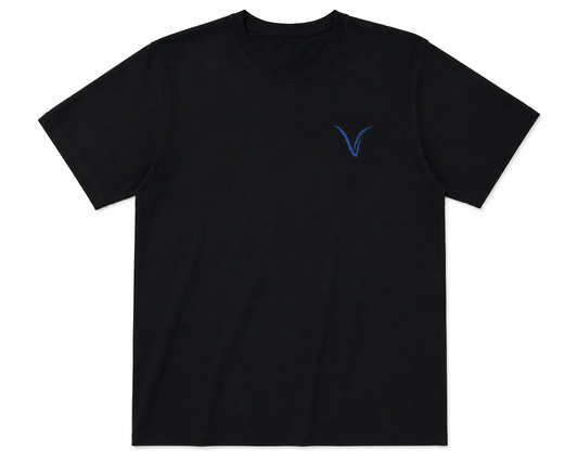 Playera Tradicional Varra
