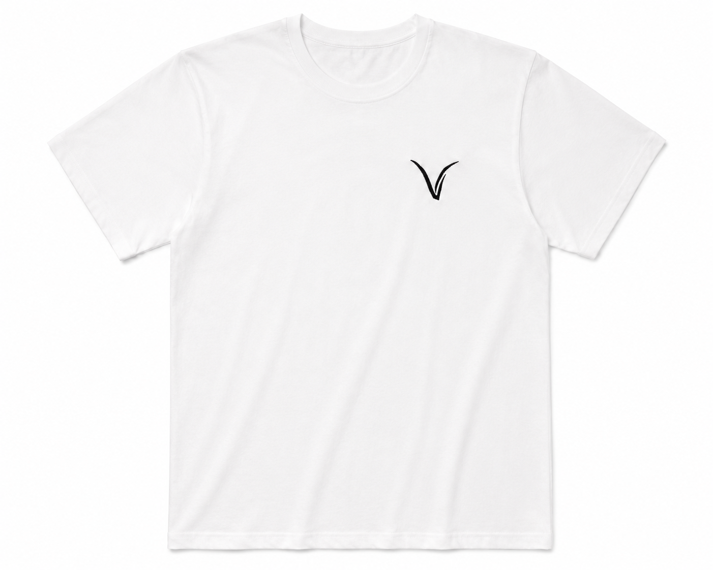 Playera Tradicional Varra